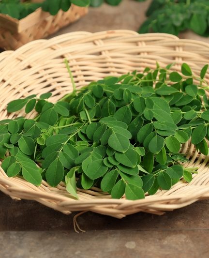 Comment habiller bébé pour sortir selon température ?